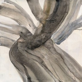 Driftwood II