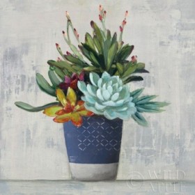 Succulent Still Life I Navy - Cuadrostock