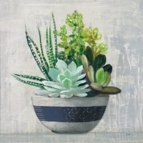 Succulent Still Life II Navy