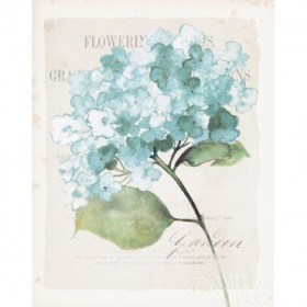 Antique Floral I Blue Vintage