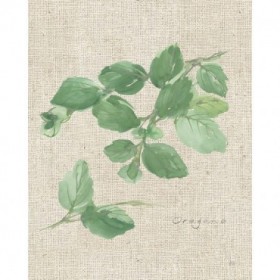 Oregano on Burlap - Cuadrostock