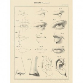 Face Chart - Cuadrostock