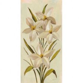 Elegant White Florals II - Cuadrostock