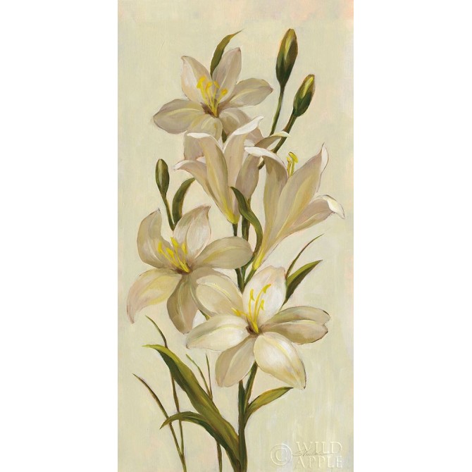 Elegant White Florals I - Cuadrostock