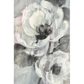 White Delight II