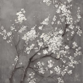 White Cherry Blossoms I on Grey Crop - Cuadrostock