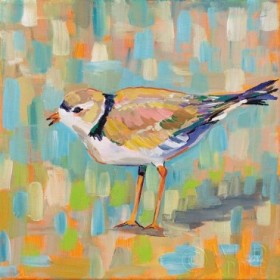 Coastal Plover IV - Cuadrostock