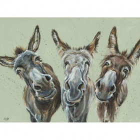 Wise Asses - Cuadrostock