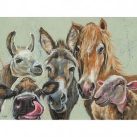 Farmyard Selfie - Cuadrostock