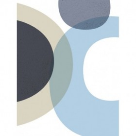 MidCentury Navy Taupe 1