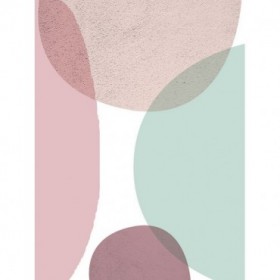 MidCentury Ranunculus Tones 3