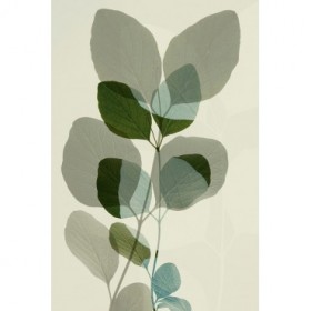 Green Leaves 10 - Cuadrostock