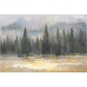 Misty Pines