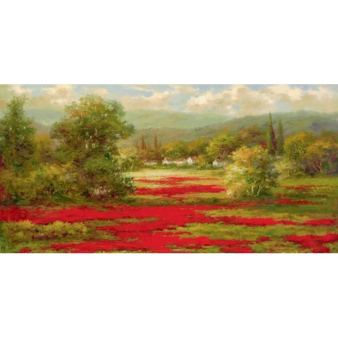 Red Poppy Field 