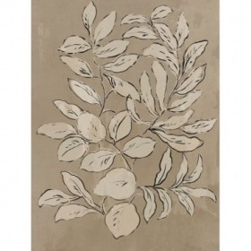 Leaves Sketches II - Cuadrostock