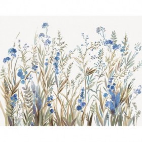 Field of Wild Blue Flowers  - Cuadrostock