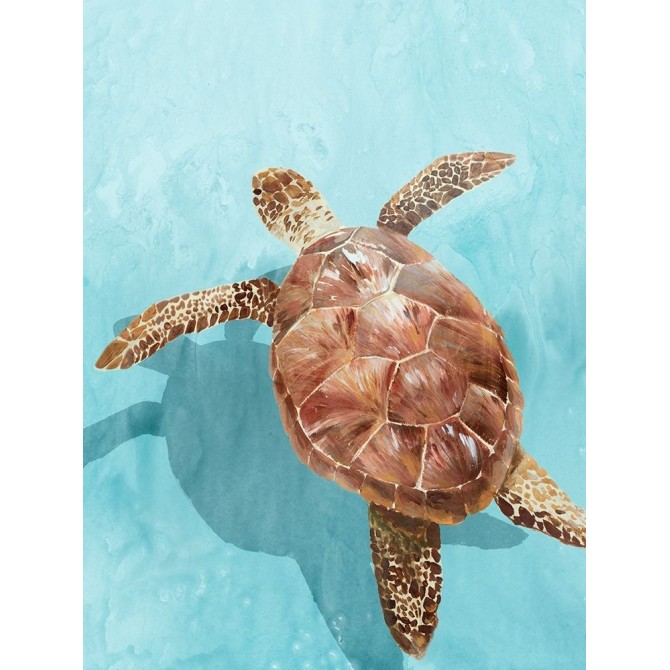 Ocean Deep Turtle II - Cuadrostock