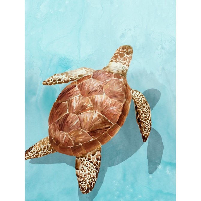Ocean Deep Turtle I - Cuadrostock