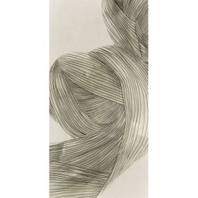 Linear Sage Pathways II - Cuadrostock
