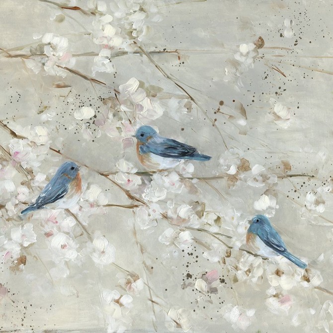 Blue Bird Melody