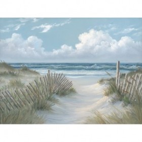 Pathway Through the Dunes