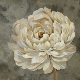 Pearl Grey Floral Study III