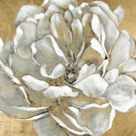 Emerging Bloom II