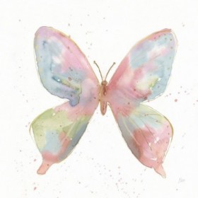 Butterfly Beauty II - Cuadrostock
