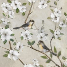 Spring Has Sprung