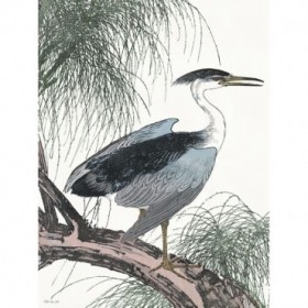 Perched Heron - Cuadrostock
