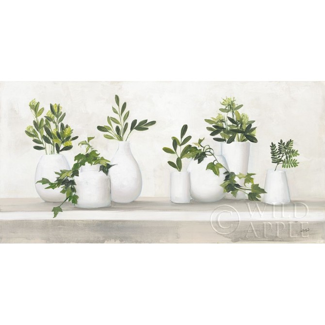 Plant Life