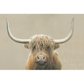 Highland Cow Neutral - Cuadrostock