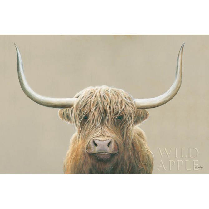 Highland Cow Neutral - Cuadrostock