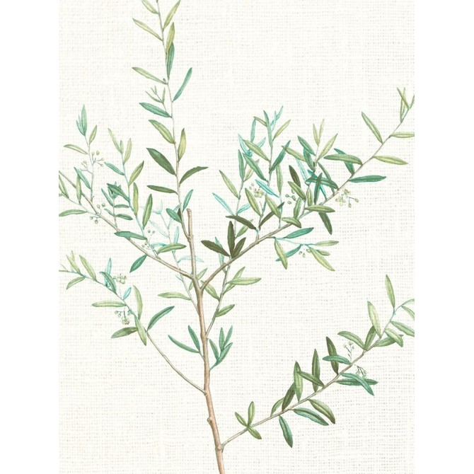 Branch 2