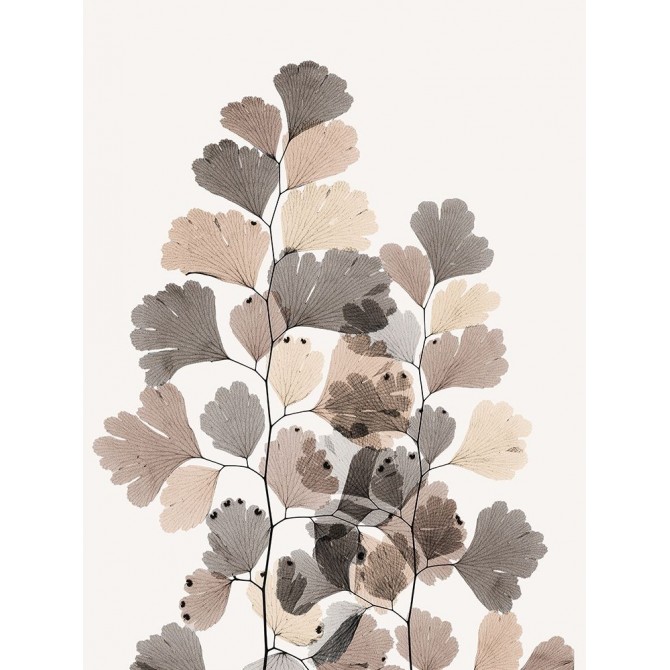 Earthy Maidenhair Fern
