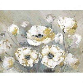 Soft Spring