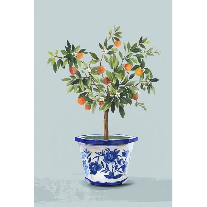Orange Tree