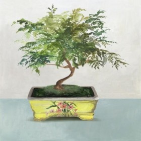 Bonsai Tree IV - Cuadrostock