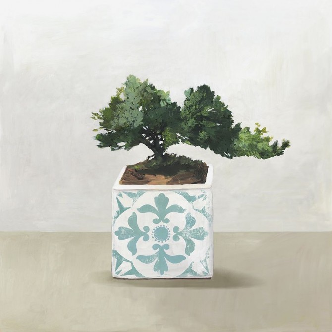 Bonsai Tree II