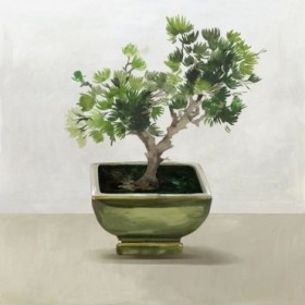 Bonsai Tree I  - Cuadrostock