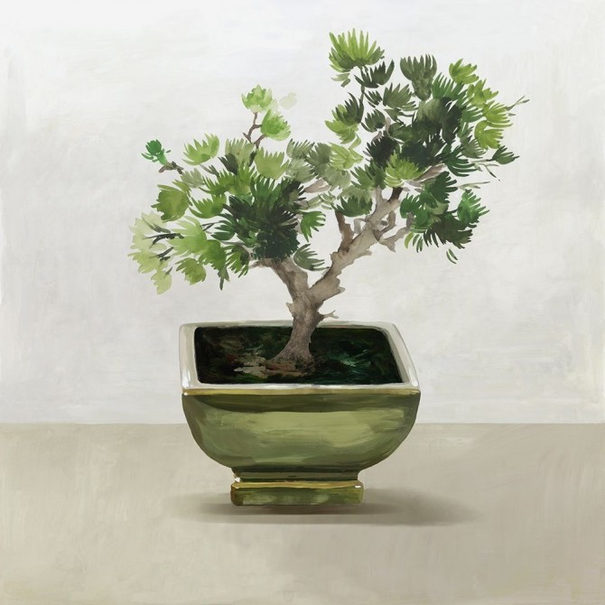 Bonsai Tree I 