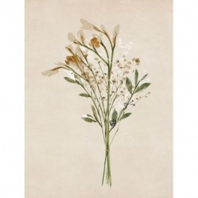 Vintage Dried Bunch II