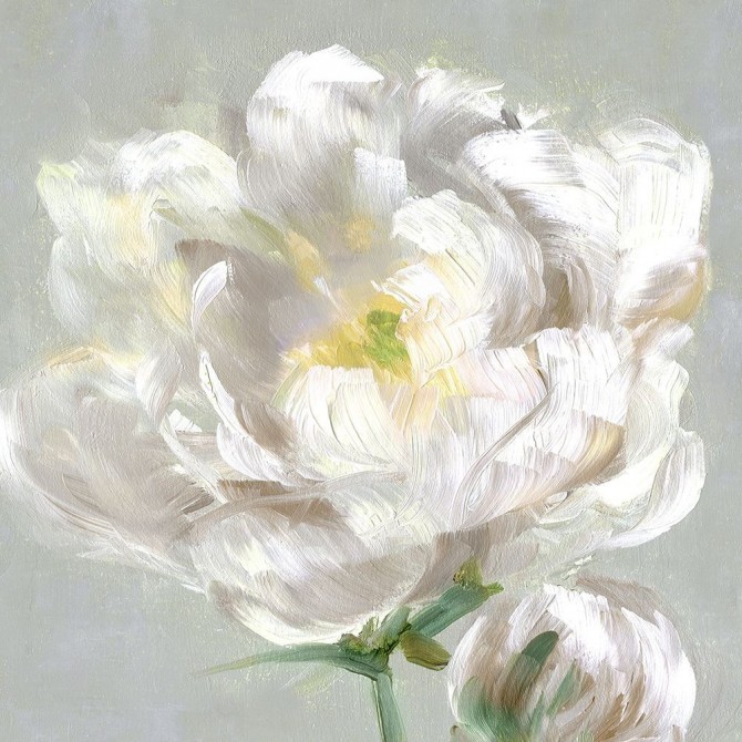 Peony Detail II - Cuadrostock