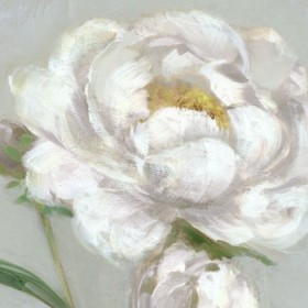 Peony Detail I - Cuadrostock