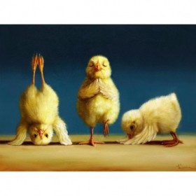 Yoga Chicks - Cuadrostock