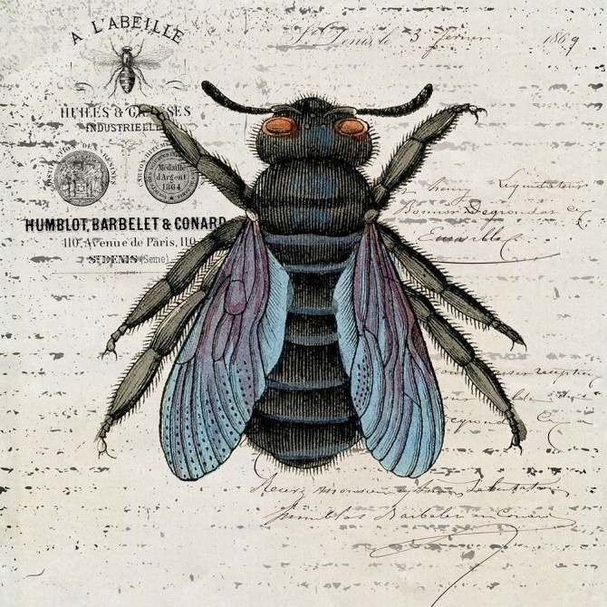 History Bee II - Cuadrostock