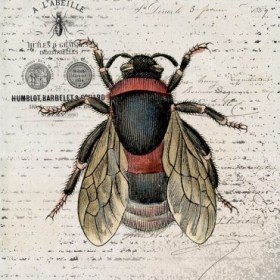 History Bee I - Cuadrostock