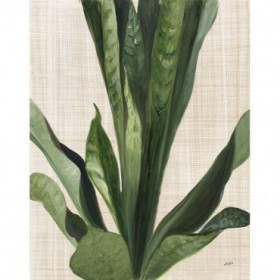 Tropical Study III Linen - Cuadrostock