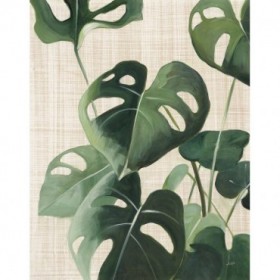Tropical Study IV Linen