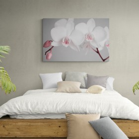 2561951-R- Flores blancas